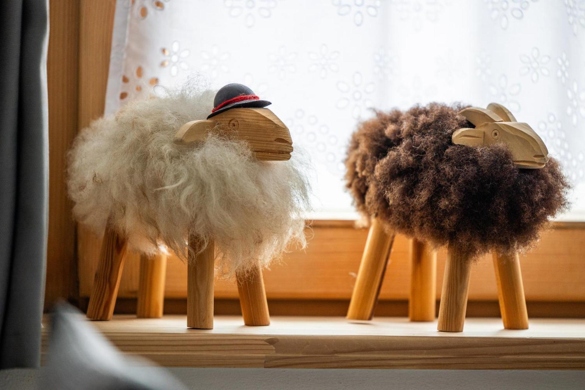 Pokoje Na Rowni ザコパネ エクステリア 写真